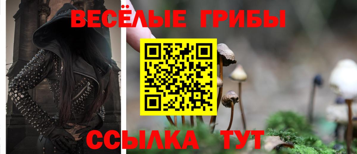 Псилоцибиновые грибы Cubensis  Вход с VPN  Туапсе 